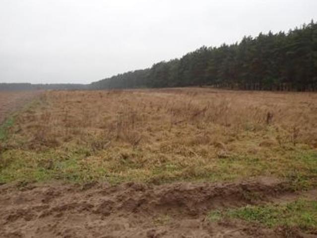 Bezpośrednio, Trzebów, 14200 m² Działka