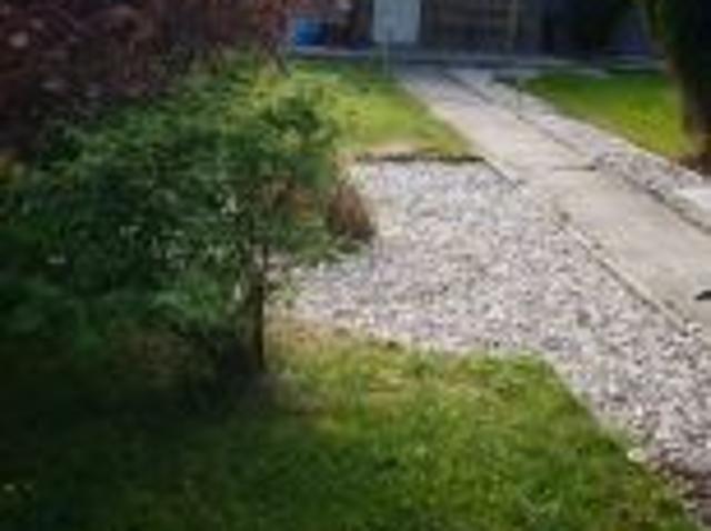 Bezpośrednio, Turek, 550 m² Działka