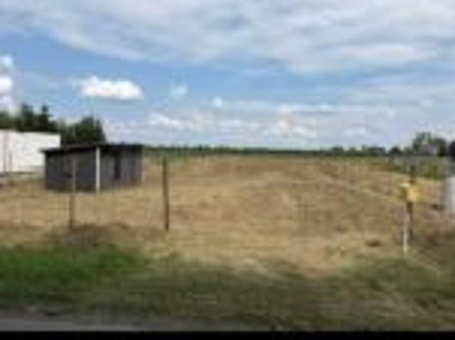 Bezpośrednio, Turzno, 1300 m² Działka