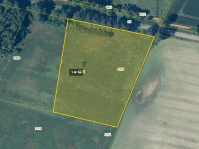 Bezpośrednio, Tychowo, ul. Białogardzka, 16000 m² Działka