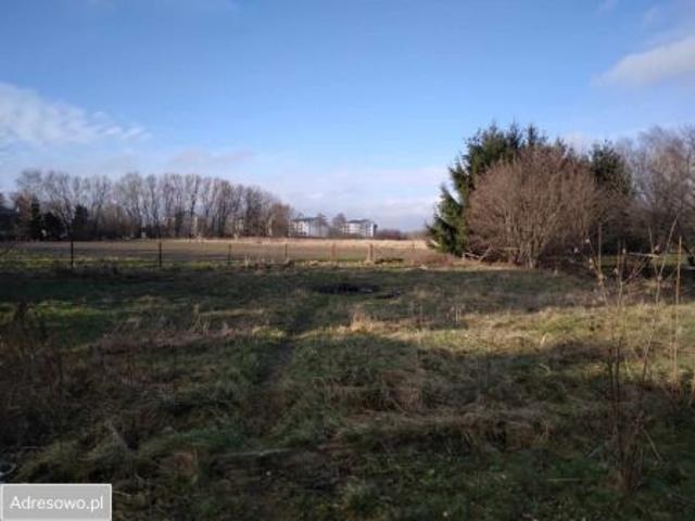 Bezpośrednio, Tyczyn, ul. Wyzwolenia, 766 m² Działka