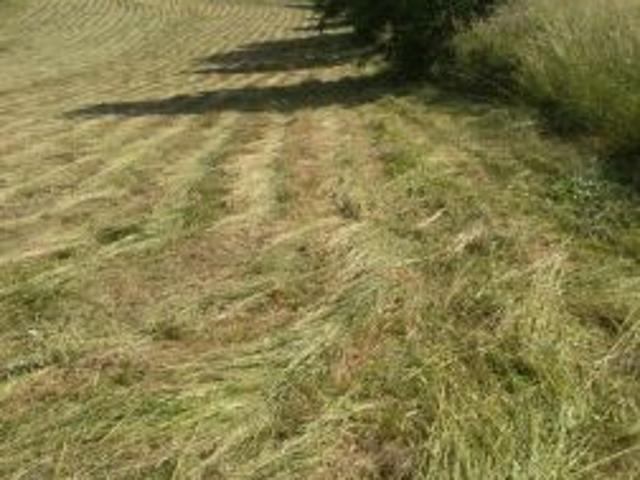 Bezpośrednio, Tyczyn, 1000 m² Działka