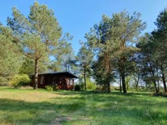 Bezpośrednio, Tyniec Kolonia, 2400 m² Działka