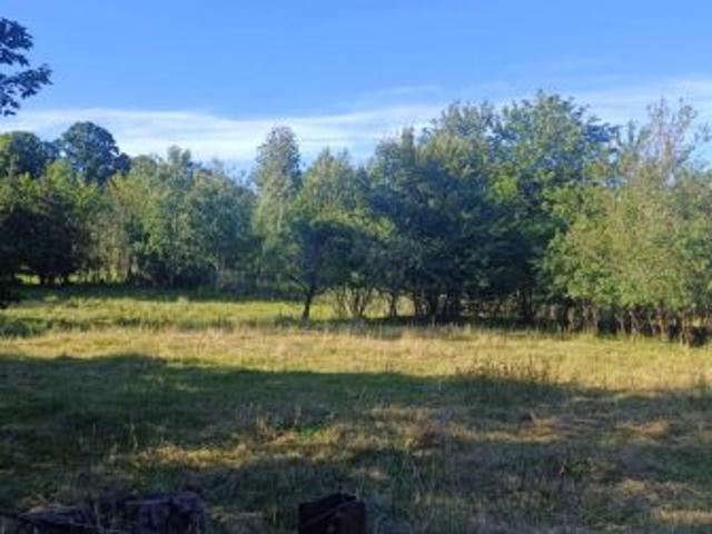 Bezpośrednio, Tynwałd, 3000 m² Działka