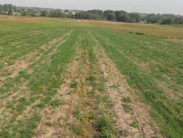 Bezpośrednio, Unin, 22000 m² Działka