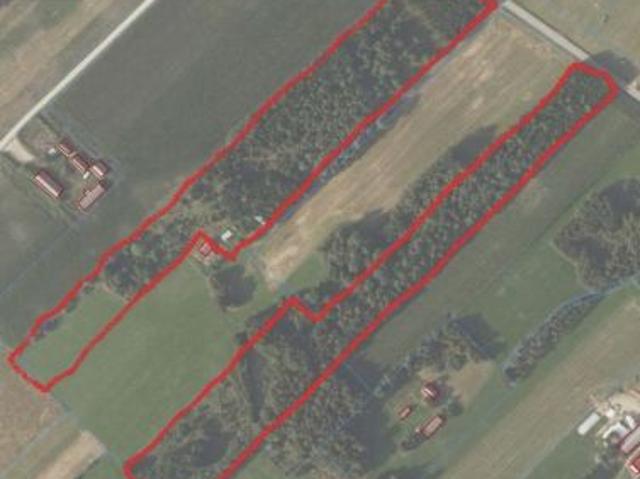 Bezpośrednio, Łubianka, 51900 m² Działka