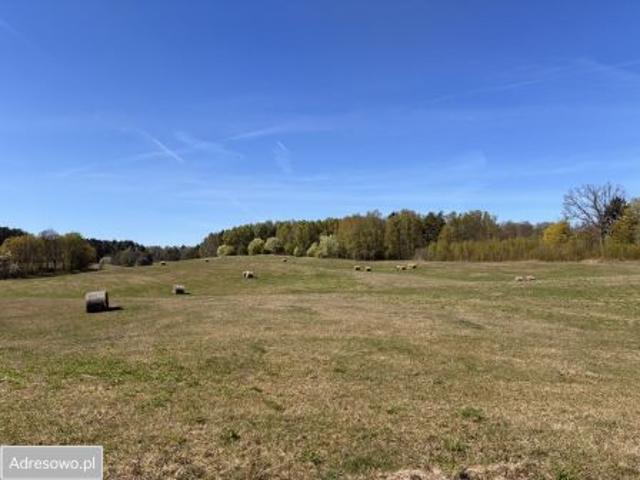 Bezpośrednio, Łubowo, 118448 m² Działka