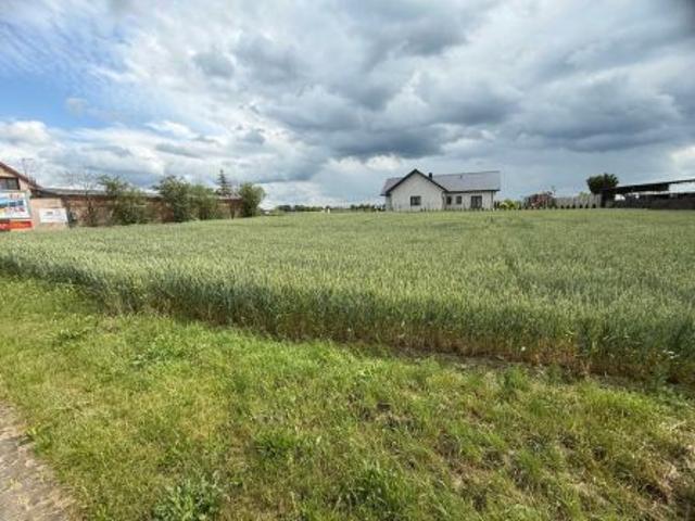 Bezpośrednio, Łubowo, 1640 m² Działka