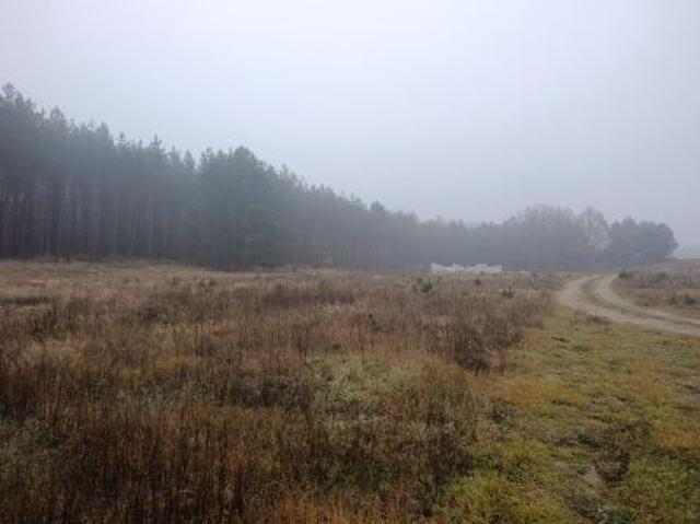 Bezpośrednio, Ugoszcz, 1200 m² Działka