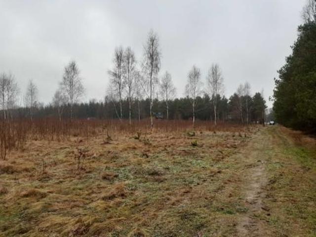 Bezpośrednio, Łukawska Wola, 34000 m² Działka