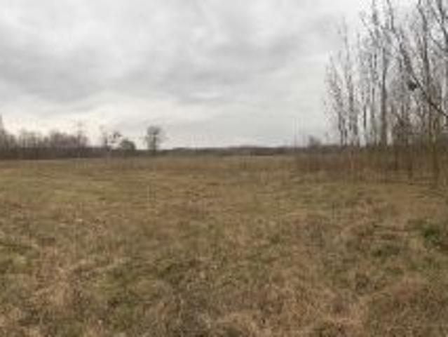 Bezpośrednio, Żuków, 36000 m² Działka