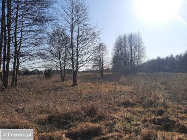 Bezpośrednio, Łuków, ul. Poważe, 8266 m² Działka