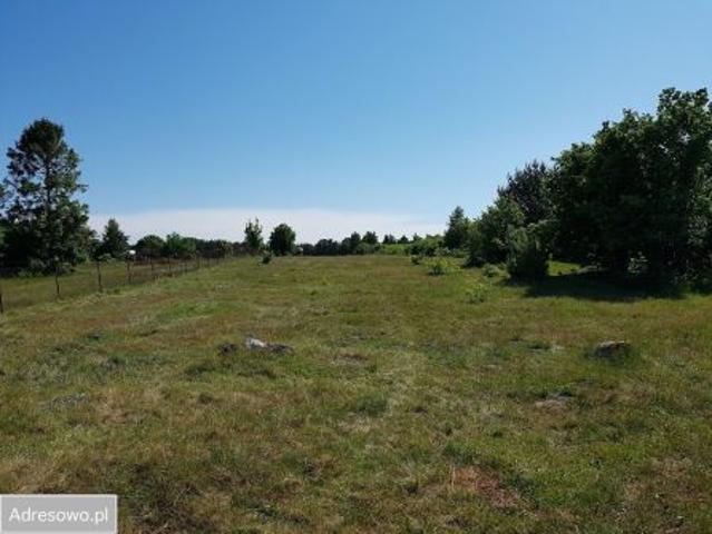 Bezpośrednio, Ulinia, Dymnica, 4990 m² Działka