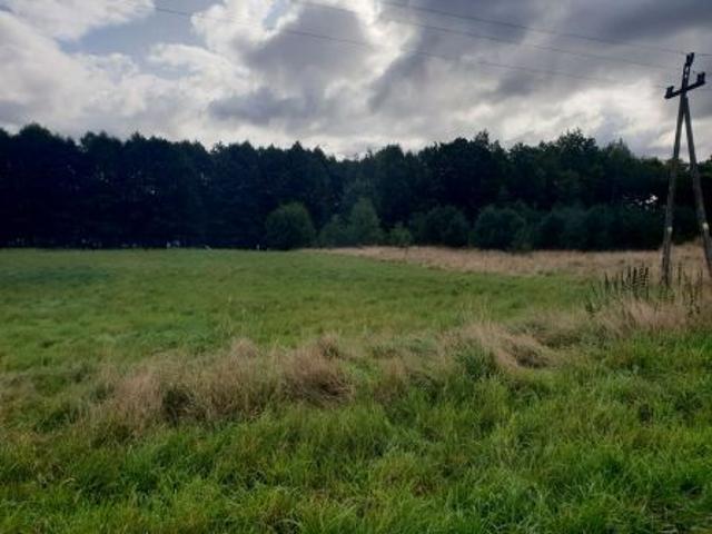 Bezpośrednio, Łupawsko, 9866 m² Działka