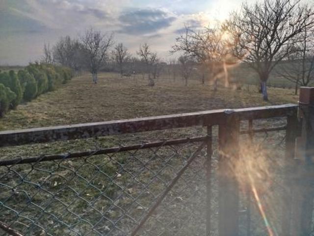 Bezpośrednio, Żurawica, ul. Wincentego Witosa, 4700 m² Działka