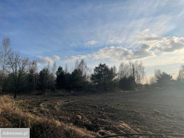 Bezpośrednio, Żurawiniec, 11974 m² Działka