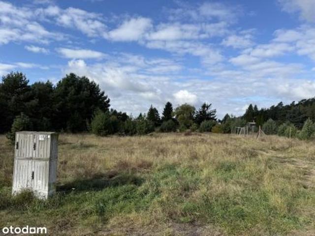 Bezpośrednio, Żurczyn, ul. Cisowa, 1099 m² Działka