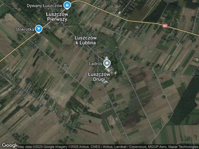 Bezpośrednio, Łuszczów Drugi, 170 m² Dom