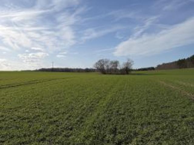 Bezpośrednio, Łuskowo, 29200 m² Działka