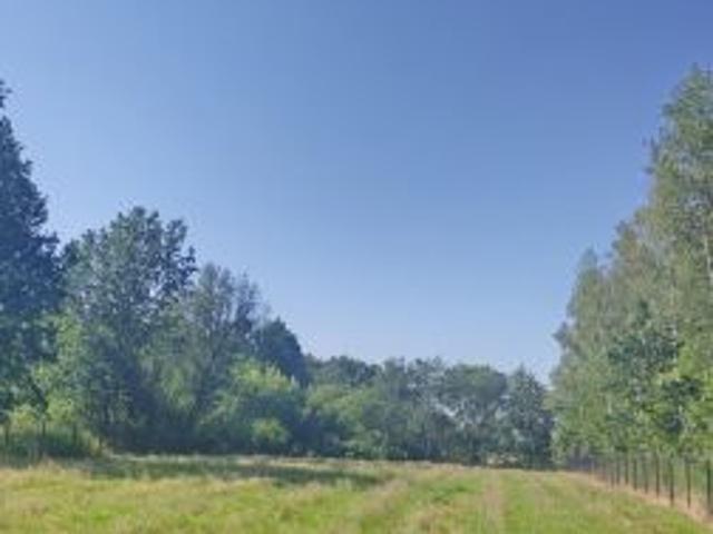 Bezpośrednio, Łysa Góra, 2500 m² Działka