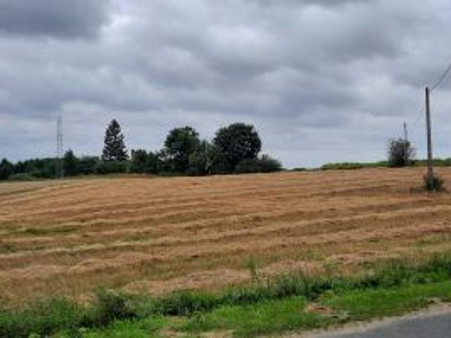Bezpośrednio, Ząbrowo, 3700 m² Działka