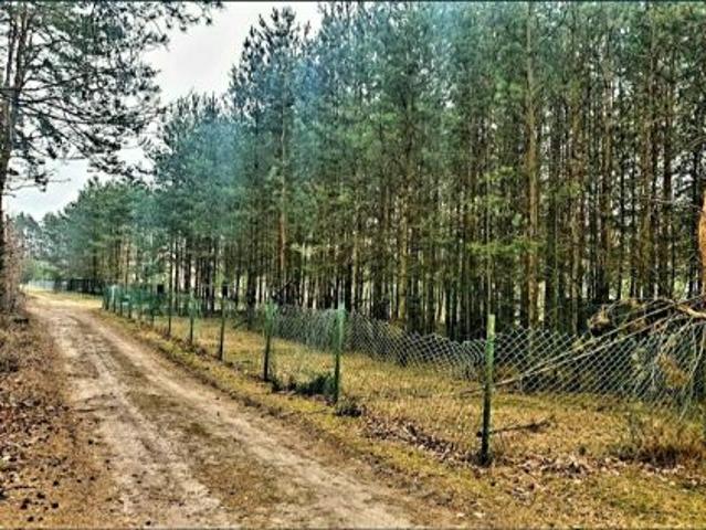 Bezpośrednio, Złotniki, Kazimierzew, 1300 m² Działka