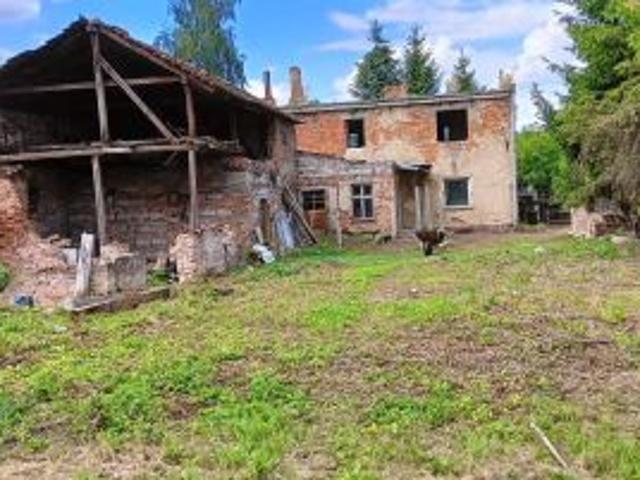 Bezpośrednio, Złotogłowice, 2900 m² Działka
