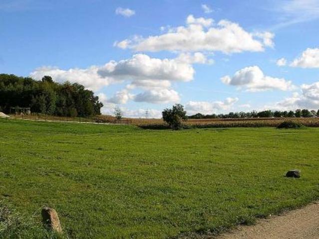 Bezpośrednio, Złotogłowice, 4063 m² Działka
