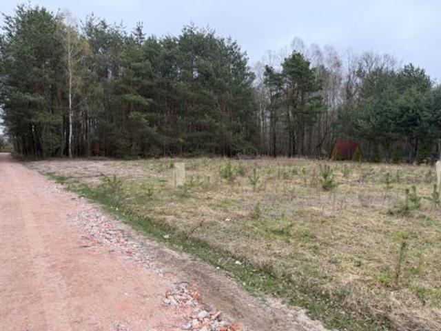 Bezpośrednio, Zofiówka, 3740 m² Działka