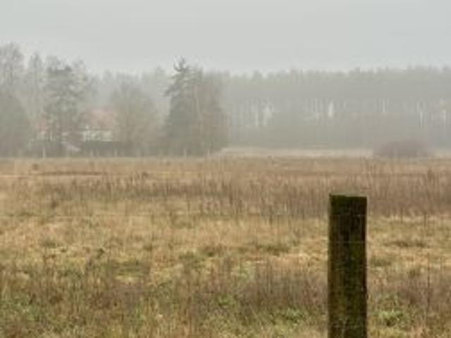 Bezpośrednio, Zatom Nowy, 4950 m² Działka