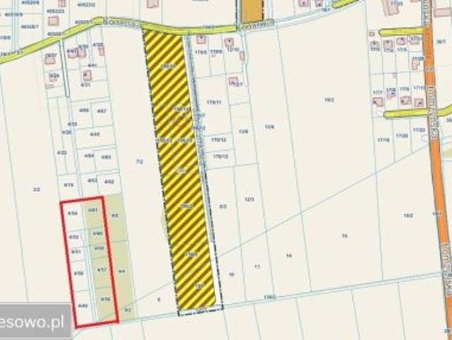 Bezpośrednio, Zawady, 10000 m² Działka