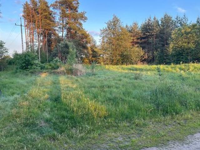Bezpośrednio, Zawiszyn, 1530 m² Działka