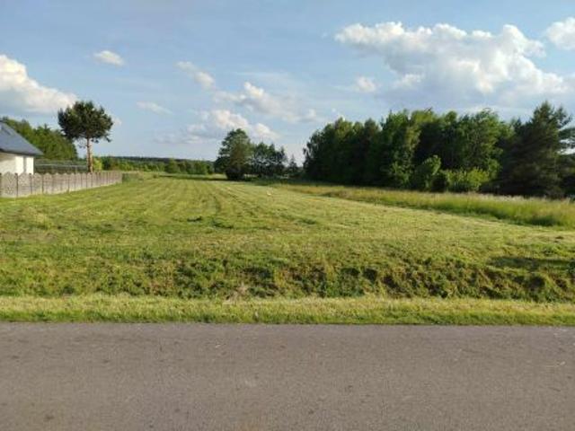 Bezpośrednio, Załuże, 3000 m² Działka