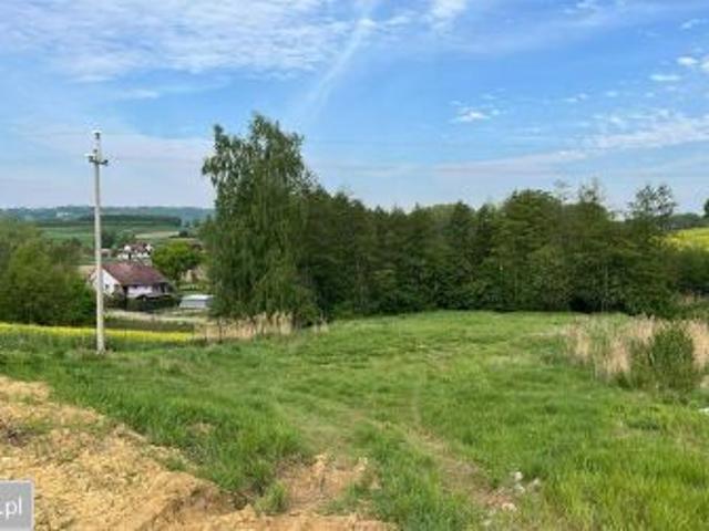 Bezpośrednio, Zabłocie, 1000 m² Działka