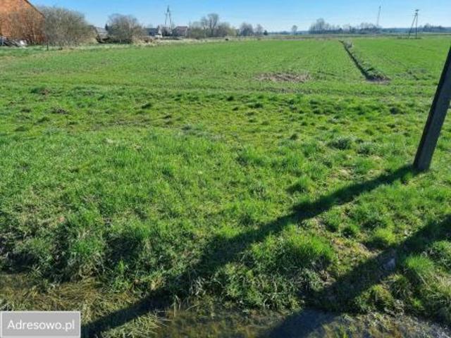 Bezpośrednio, Zabierzów Bocheński, 2600 m² Działka