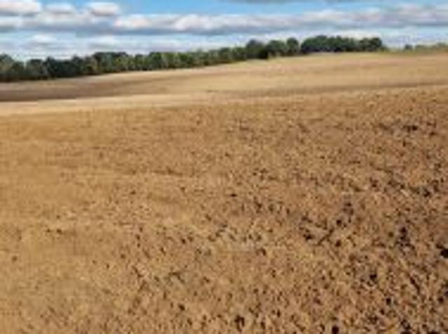 Bezpośrednio, Zajączkówko, 380000 m² Działka