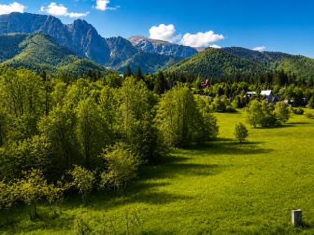 Bezpośrednio, Zakopane, ul. Droga na Wierch, 2839 m² Działka
