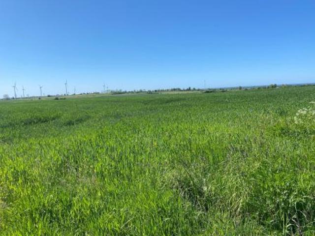 Bezpośrednio, Zakrzewo, 5000 m² Działka