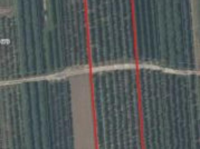 Bezpośrednio, Zakrzów, 23100 m² Działka