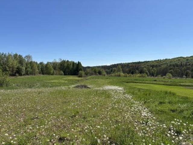 Bezpośrednio, Zalas, ul. Sportowa, 3100 m² Działka