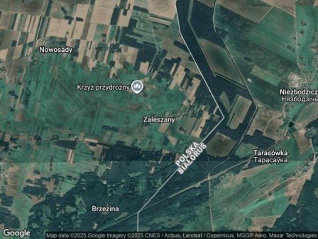 Bezpośrednio, Zaleszany, 3050 m² Działka
