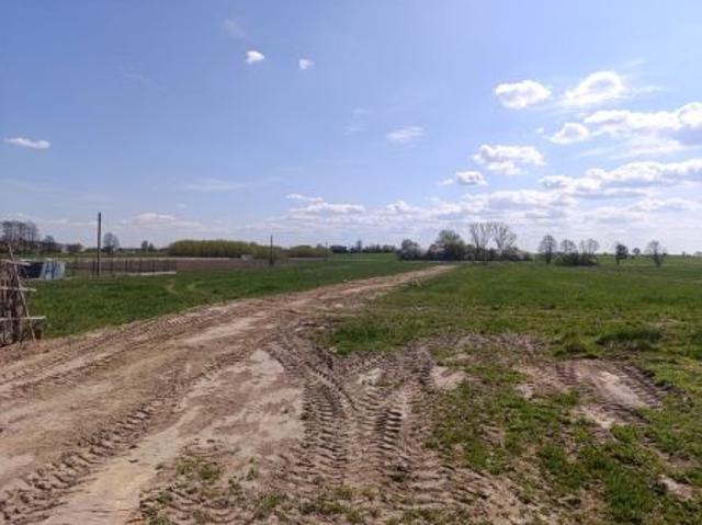 Bezpośrednio, Zalesice Kolonia, 1000 m² Działka