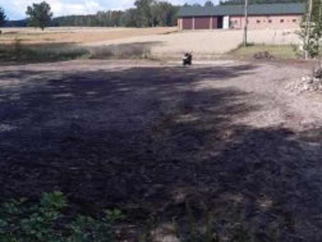 Bezpośrednio, Zalesie, 978 m² Działka