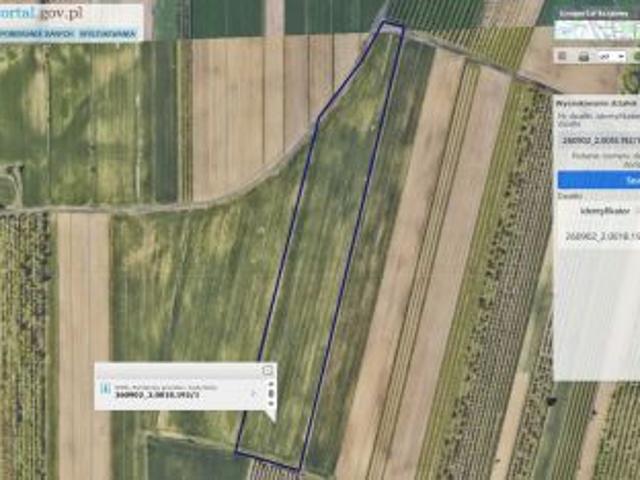 Bezpośrednio, Zalesie, 20400 m² Działka