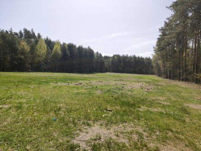 Bezpośrednio, Zalesna, 1200 m² Działka