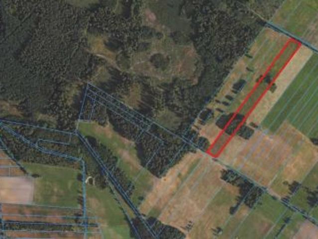 Bezpośrednio, Zambrzyca, 17800 m² Działka