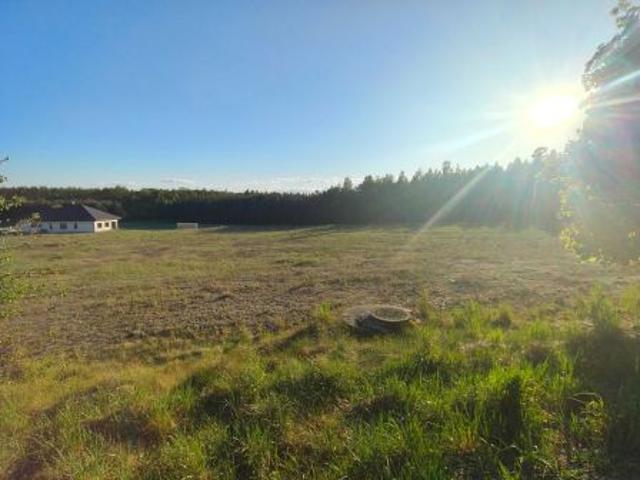 Bezpośrednio, Zamek Bierzgłowski, 4295 m² Działka