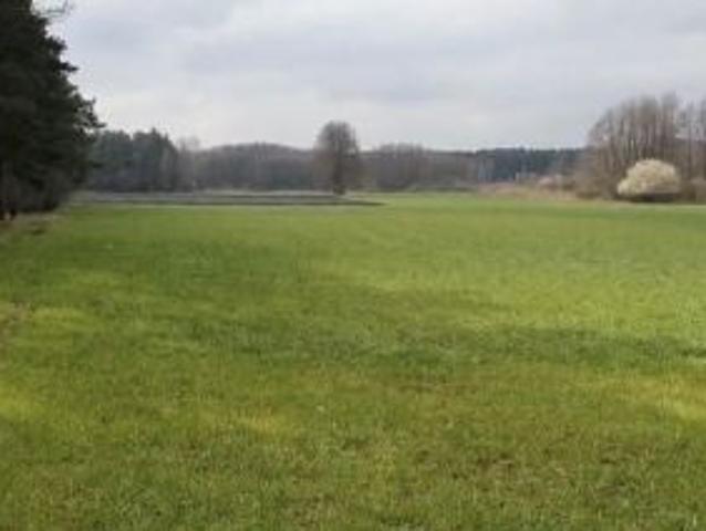 Bezpośrednio, Zaniemyśl, ul. Czarnecka, 4898 m² Działka