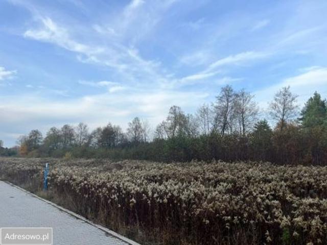 Bezpośrednio, Zarośle Cienkie, 960 m² Działka
