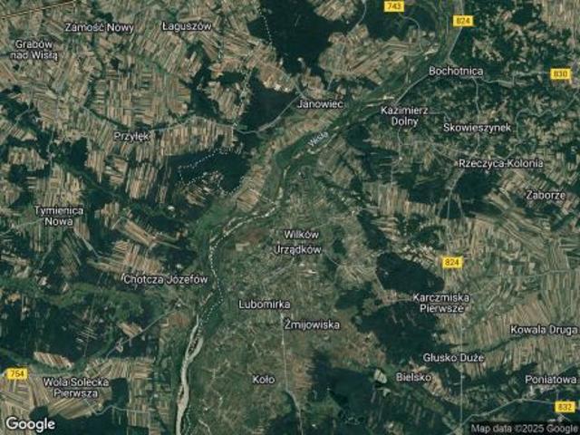 Bezpośrednio, Wilków, 3000 m² Działka